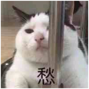 亚洲Aⅴ无码专区在线观看
