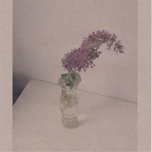 亚洲Aⅴ无码专区在线观看
