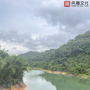 亚洲Aⅴ无码专区在线观看
